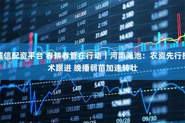 诚信配资平台 春耕春管在行动｜河南渑池：农资先行技术跟进 晚播弱苗加速转壮